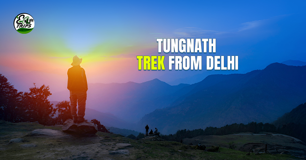 Tungnath trek from Delhi